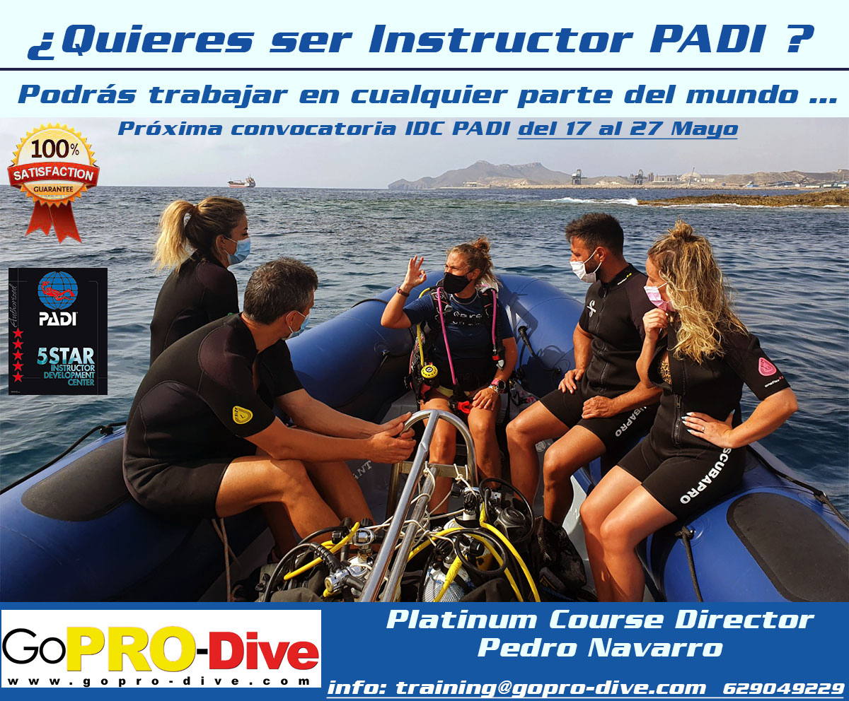 Curso de Instructor de buceo