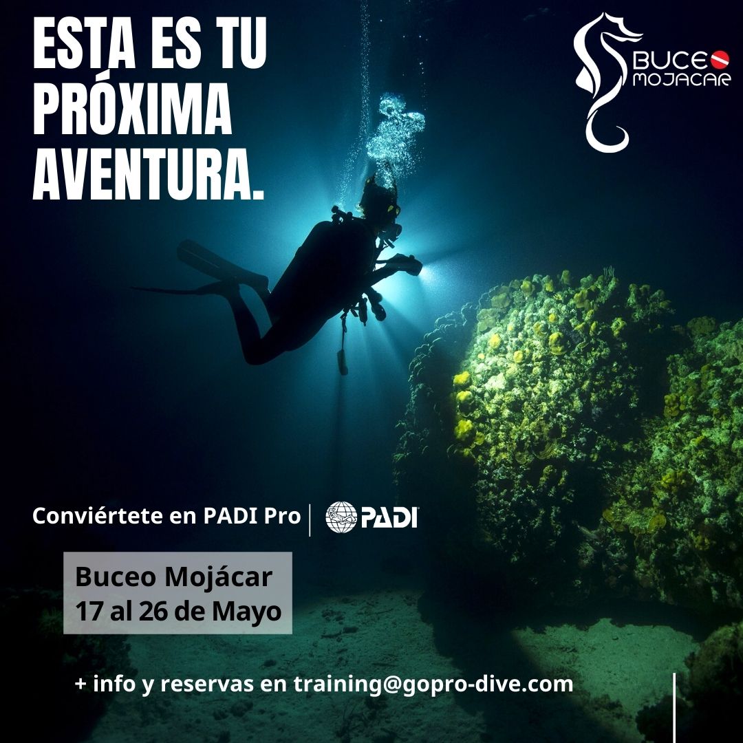 Curso de Instructor de buceo PADI 