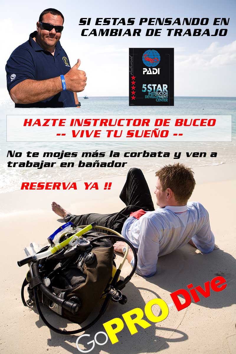 Todo sobre el curso de instructor de buceo PADI part1