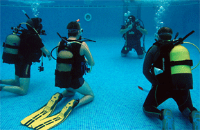 Curso instructor de buceo PADI