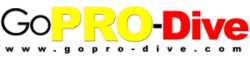 Cursos de instructor de EFR